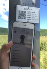 圖片73.png 圖片73.png